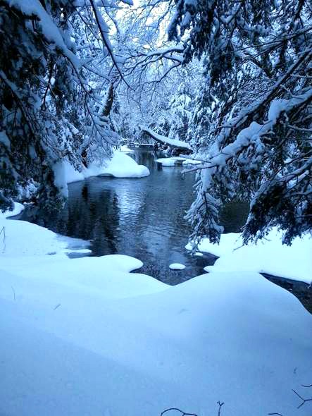 lost pond trail