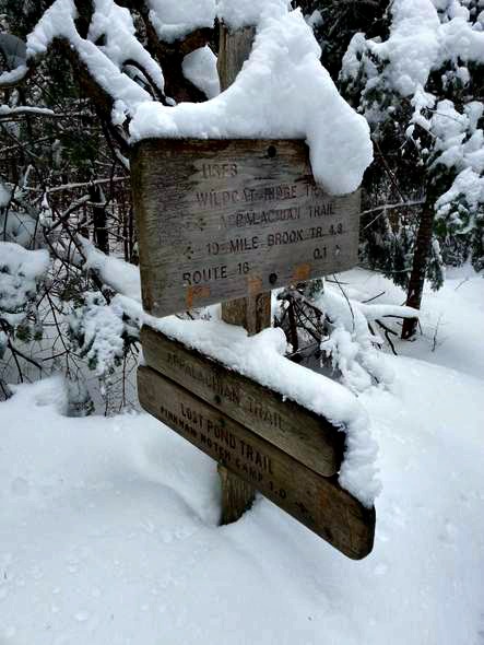 wildcat ridge trail