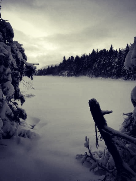 lost pond trail