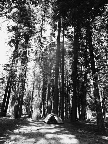 lassen campground