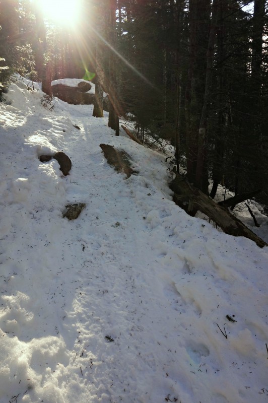 14-falling waters trail