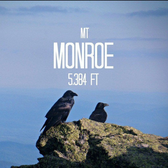 mt monroe