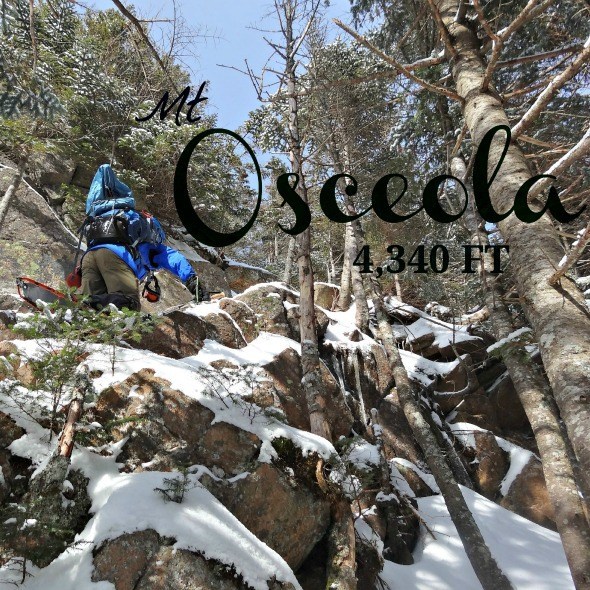 osceola