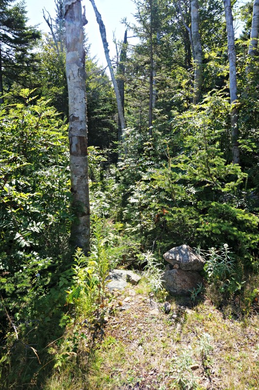 6-herdpathcairn