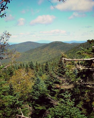16-wilson viewpoint