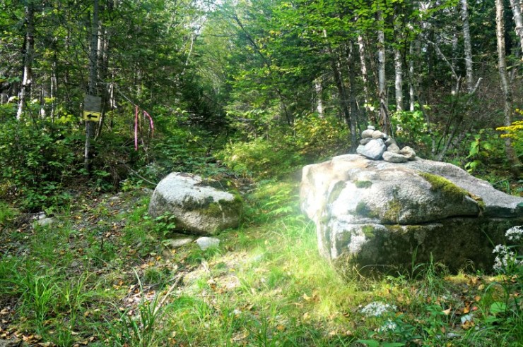 6-rock