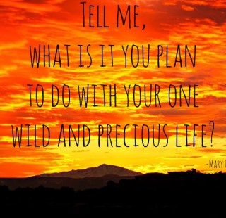 hiking quotes